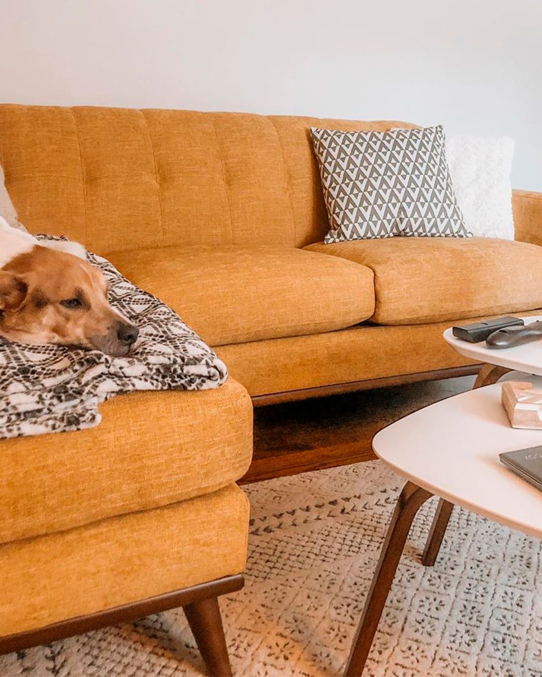 Rooms to 2024 go sale sofas