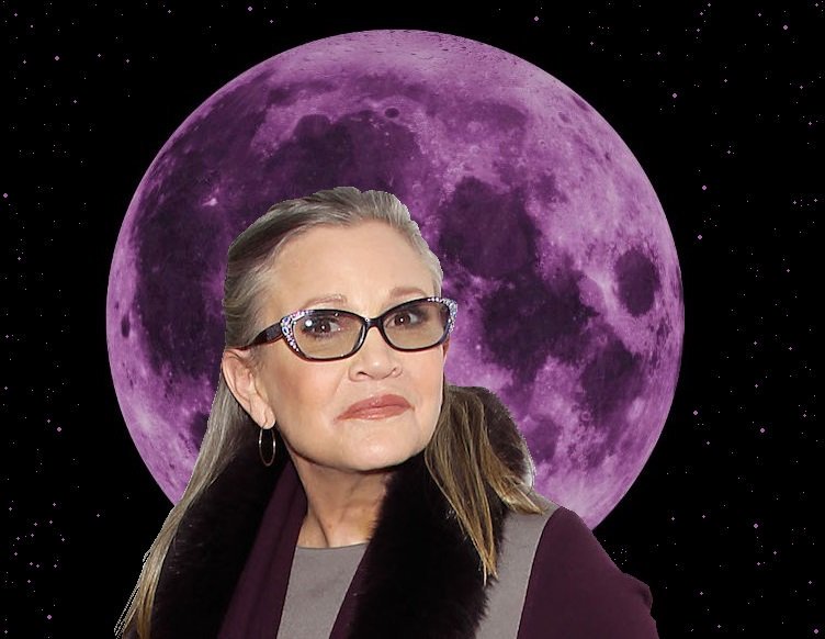 Old edit. First one I created specifically to mark the 27th of Dec. Enjoy! 

@HamillHimself <a href="/ponygal1986/">Lady Debra 💜</a> <a href="/DWaltonDameM/">Dwalton 🇺🇦🌻</a> @BhanJawn <a href="/Carie80ESB/">🌌Brial Skywalker🌌</a> <a href="/MaraRanger/">꧁𓊈🅼🅰🆁🅰𓊉꧂</a> @generaljedileia <a href="/leiaorganajedi/">Zabela</a> <a href="/Kimmature/">Kimmature</a> <a href="/Carries_Angel/">Kels</a> <a href="/reimamy/">Amy R</a> <a href="/graphicscat86/">Rheta</a>