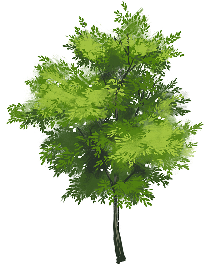 clipstudiopaint's tweet photo. Comic artist @Ann_Maulina explains how to draw various foliage types, including bushes, grass, trees, and leaves placed in background layers known as depth of field.
https://t.co/uyNN4ovrGH https://t.co/UGwBXxzoTJ