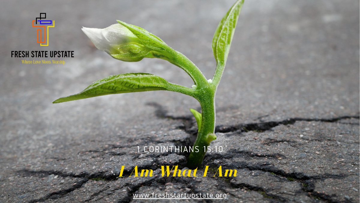 FreshStartFSU's tweet photo. "Unmuted We Speak" 
Biblical Power 4 Every Woman https://t.co/TrpaN9cQUs
