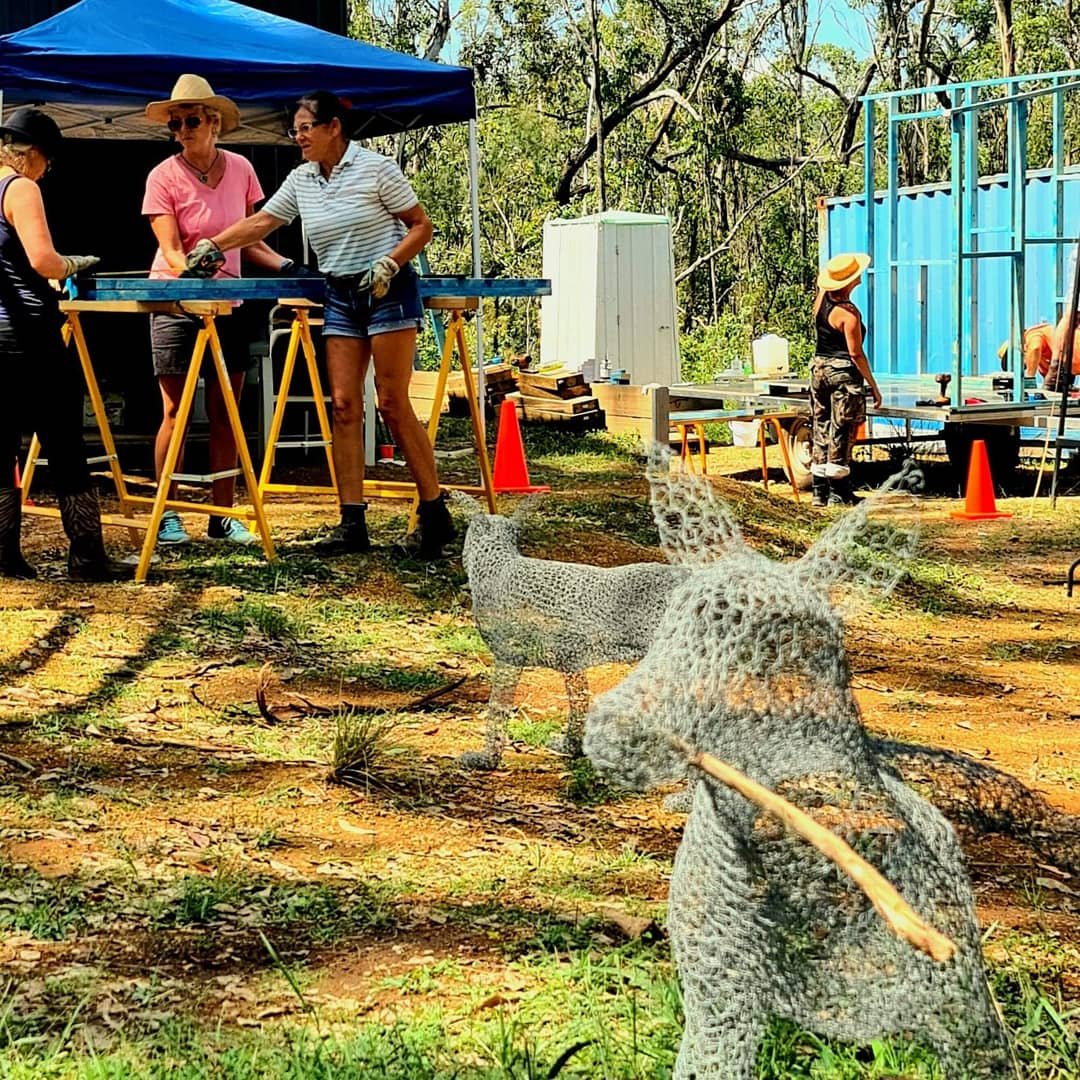 Containerdreams's tweet image. Guard dogs on duty at our community shed watching on in interest as we build #tinyhomesforbushfirevictims
