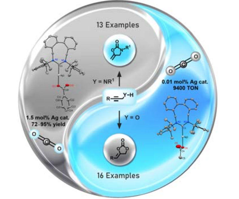 Szostak_Group's tweet photo. #NHCs #NHeterocyclicCarbenes Hashmi group reported #expanded 9-#membered ring #NHC-#silver carboxylate complexes. Efficient and reusable catalysts for #carboxylative cyclization of propargylic #alcohols & #amines. @pengcheng_gao @ChemSusChem
https://t.co/HH0pEaqc3D https://t.co/RTwPhDCOpY