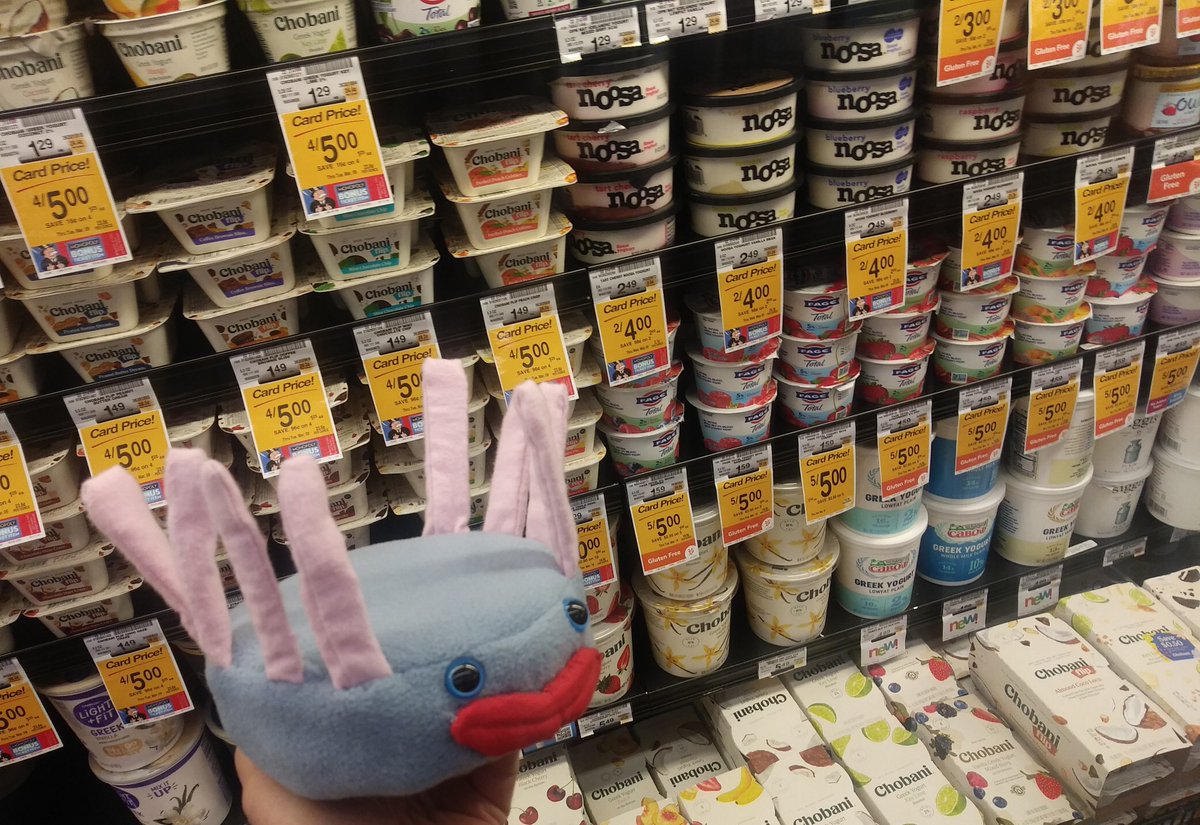 JohnRMoffitt's tweet photo. 3. There's really no way an extinct invertebrate can understand yogurt. I know I can't. And certainly the reason why there's so many instances of yogurt ... mind blown?!
#MiddleCambrian
#Wiwaxiawednesday https://t.co/WRtPAWzwtt