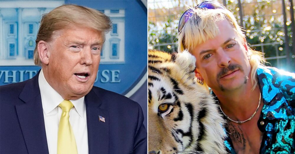 Trump asked if he'd pardon Joe Exotic during coronavirus press briefing | https://t.co/427YMIA9mR https://t.co/HqFiMuwVbr