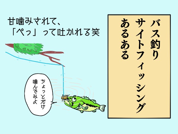 つかじー デカハネgp開催中 バス釣りあるある サイトフィッシング 今回はサイトフィッシングの話 サイトフィッシング バス釣りあるある T Co Q4owy47g4x Twitter