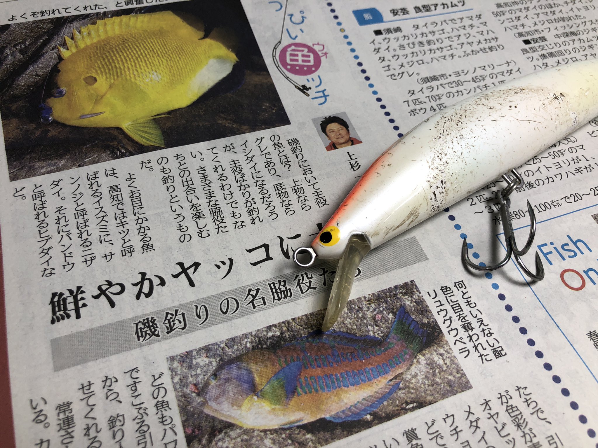 高知新聞 魚信 釣りのページ 春めいてきましたね 四万十市の下田漁港ではブリが回遊中で ルアー で釣れているようです フィッシュオンには 小さな釣りガール姉妹 魚ッチは色鮮やかな磯の脇役たちのお話ですー ルアーでブリ 家族でキス釣り