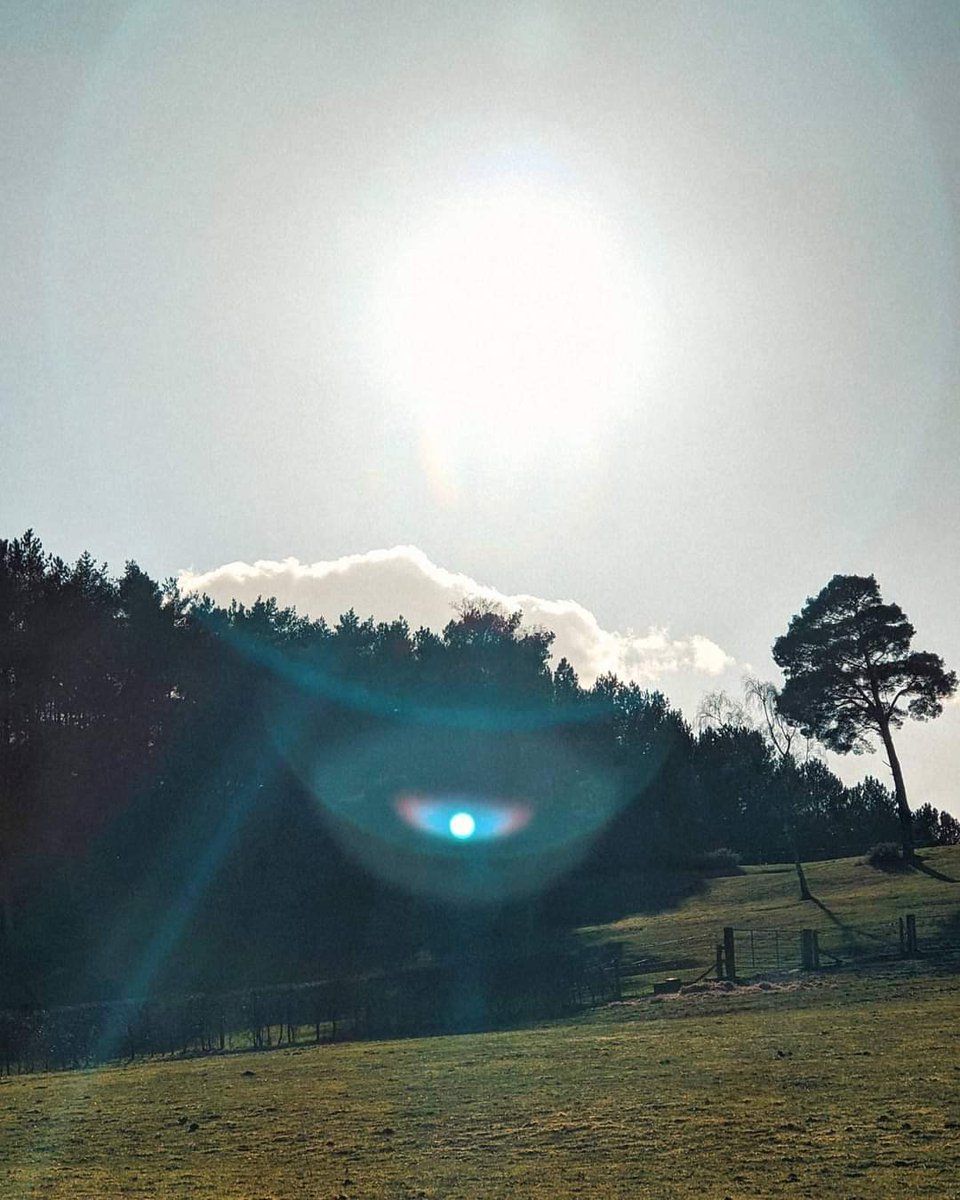 BenJieStills's tweet photo. now I'm stuck inside a vision that repeats, repeats, repeats."
3/3 from the chill bike ride.
•
•
•
•
#lyricscaption #lyrics #julienbakerlyrics #houseoftheday #dreamy #quotes https://t.co/ro80wEDr4g