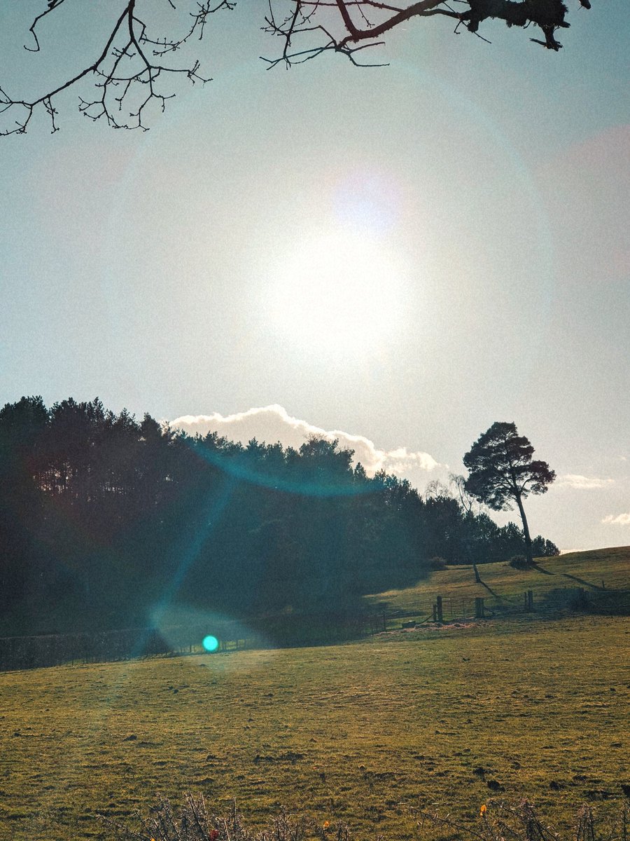 BenJieStills's tweet photo. now I'm stuck inside a vision that repeats, repeats, repeats."
3/3 from the chill bike ride.
•
•
•
•
#lyricscaption #lyrics #julienbakerlyrics #houseoftheday #dreamy #quotes https://t.co/ro80wEDr4g