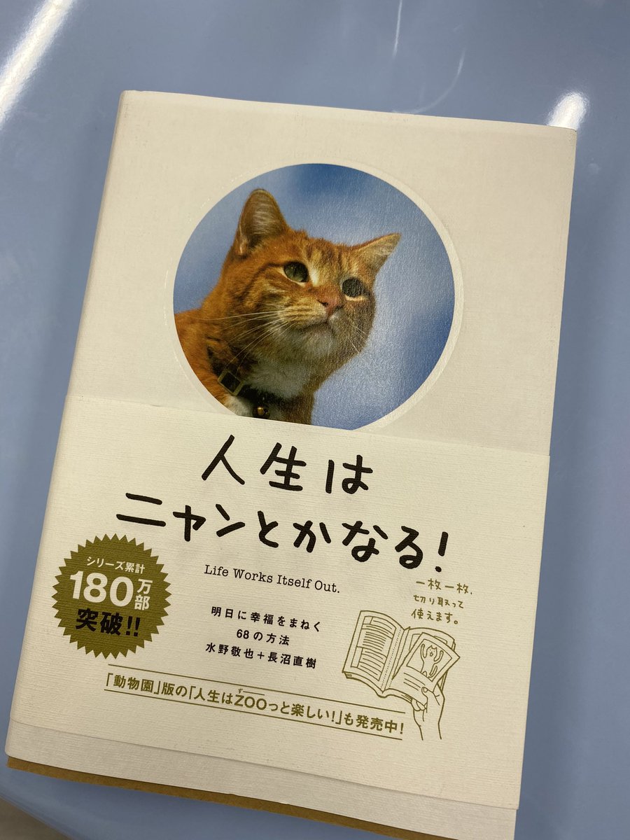人生に行き詰まった時に読む本 人生はニャンとかなる の口コミは ぼく達の飼い主の ポジティぶろぐ