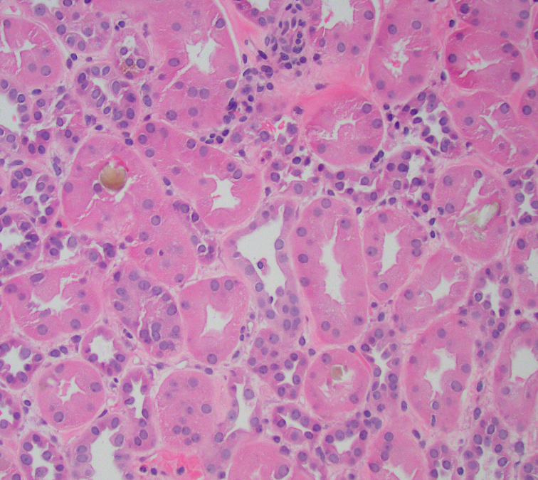 Jonathan Zuckerman MD PhD tweet media