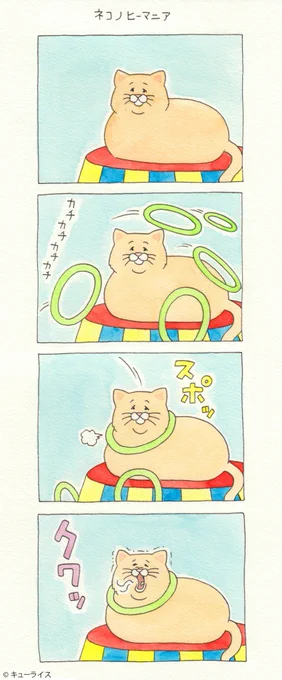 4コマ漫画「ネコノヒーマニア」/Nekonaughey Mania! 単行本「ネコノヒー4」発売中!→ ネコノヒー #キューライス 