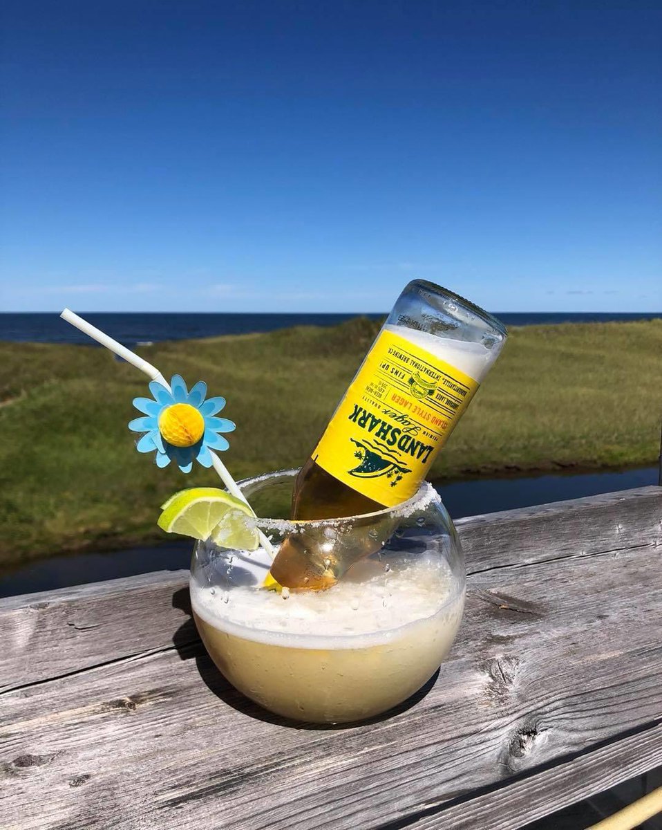 Looking forward to summer!!  #FinFanFotoCA <a href="/landsharklager/">LandShark Lager</a> <a href="/Margaritaville/">Margaritaville</a> #jimmybuffet