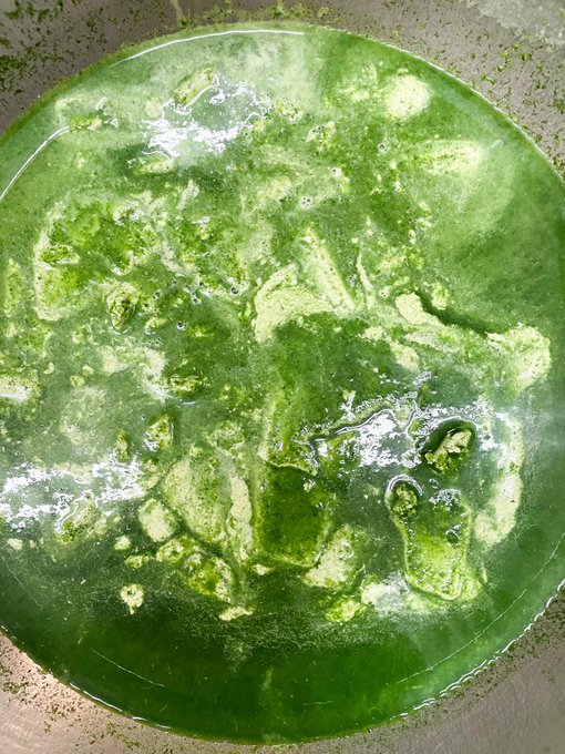 魔女鍋のtwitterイラスト検索結果