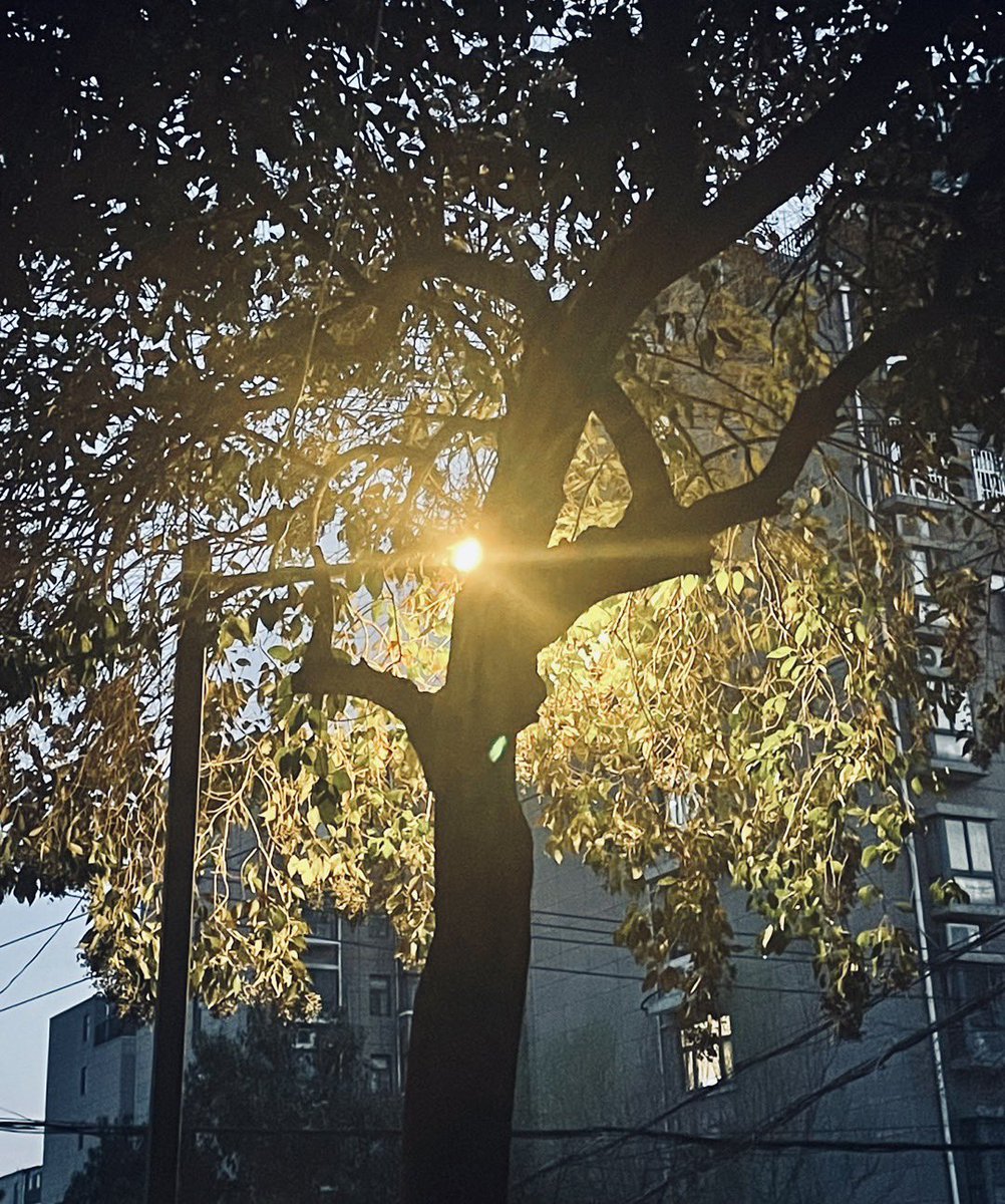 火鸡吧 (@18726918wer2) on Twitter photo 