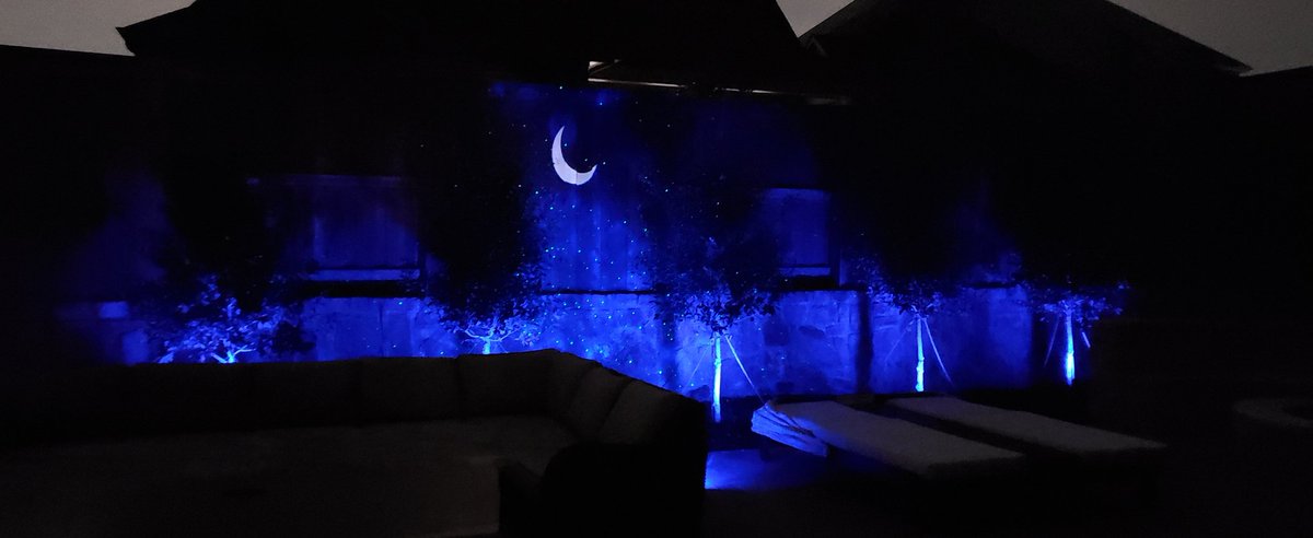 MetaTexas's tweet image. March 23rd ...moon time