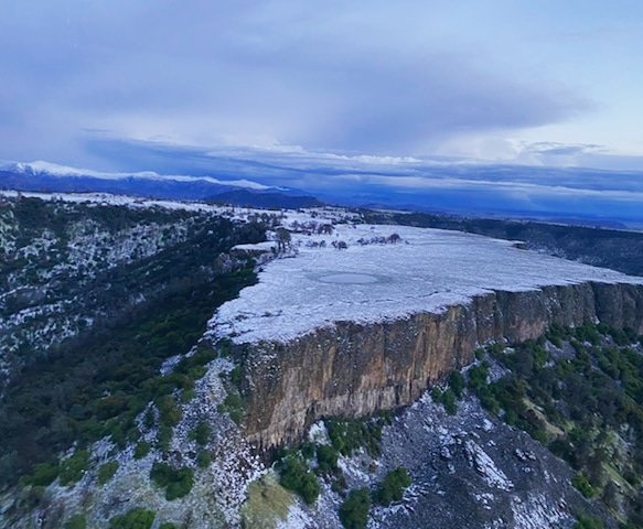 Fresno Co Sheriff tweet media