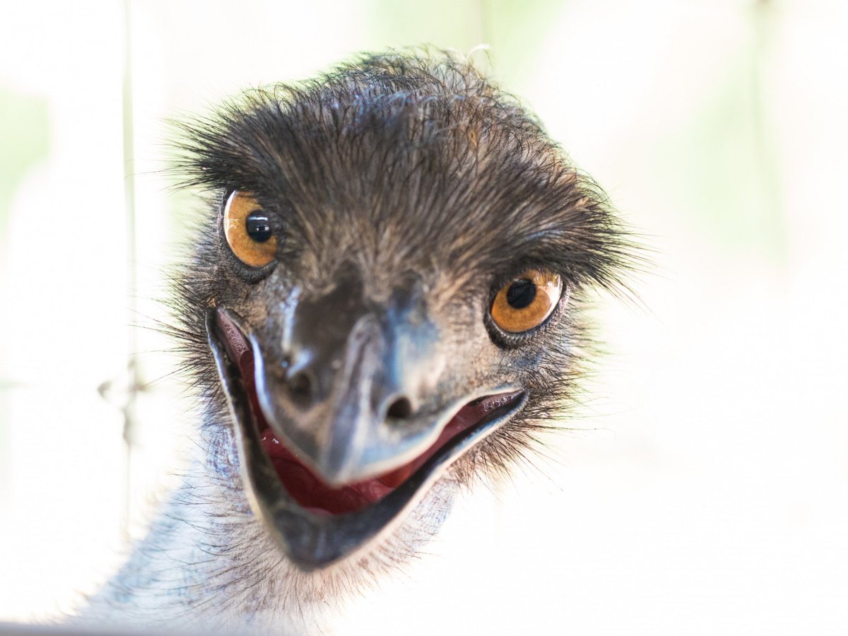 Don't pretend like you don't get this.