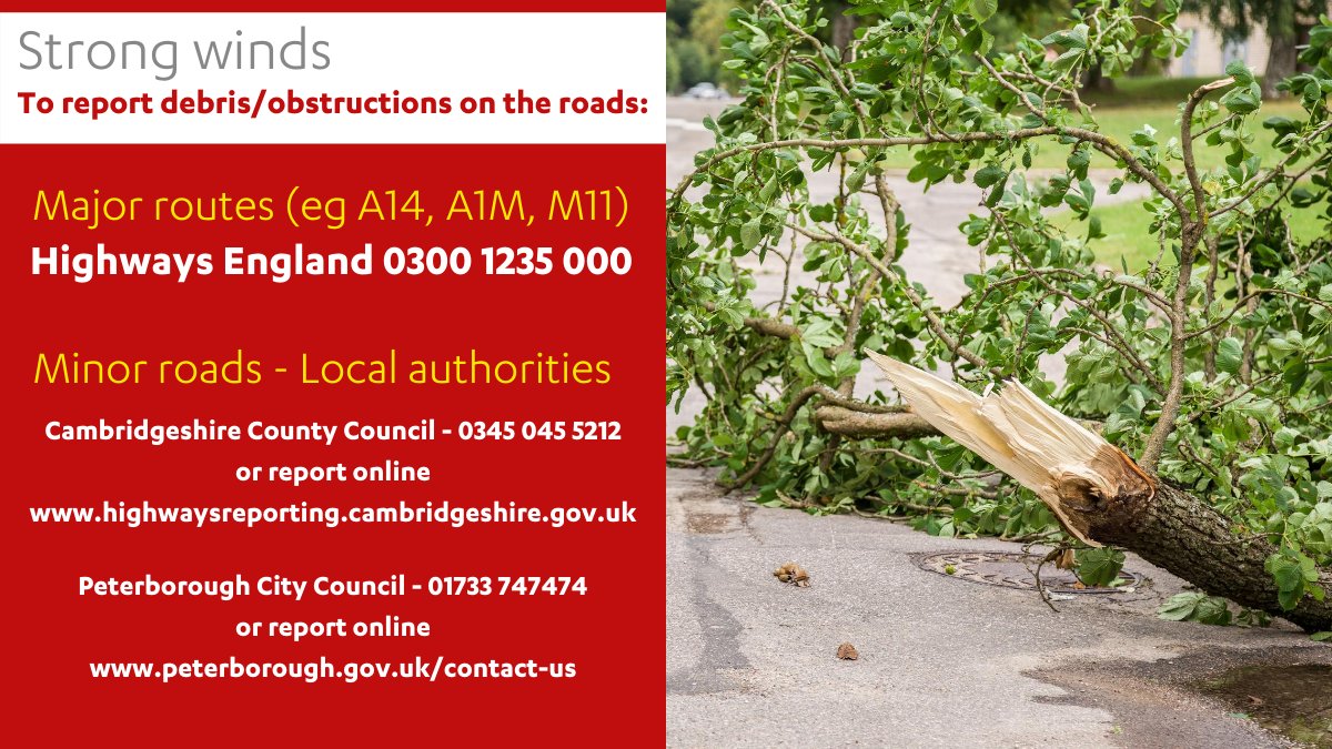 cambsfrs's tweet photo. With strong winds expected to last all day 💨, please make a note of who to call if you find fallen trees or debris blocking the roads 🌳🚙🚗

P.S, it’s not ghostbusters 👻

#WhoYouGonnaCall https://t.co/Q7890pF37S