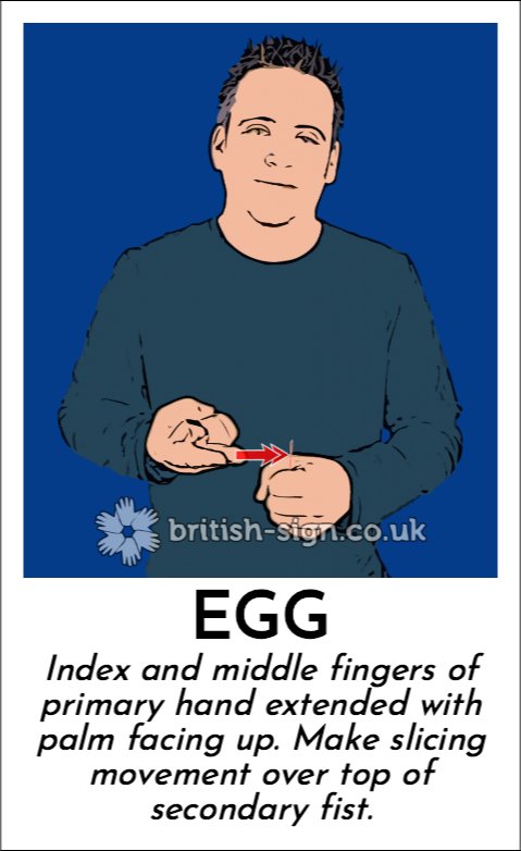 Today's #BritishSignLanguage sign is: EGG - #BSL - learn sign language online at british-sign.co.uk