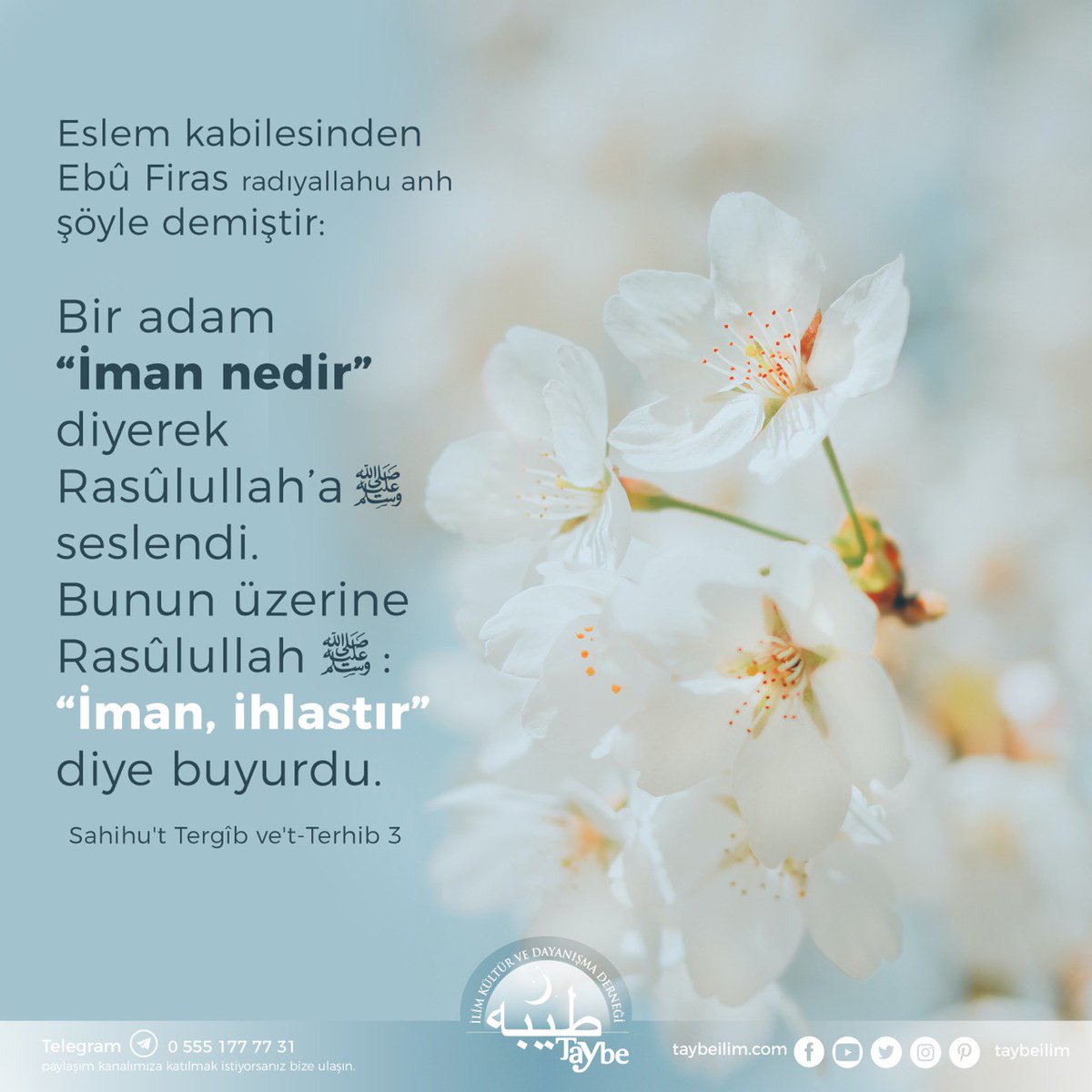 taybeilim's tweet photo. #ruh #ramazan #kefaret #muharrem #şevval #hicritakvim #miladitakvim #şaban #ruku #fatiha #bakara #nisa #hacı #ümre #kurban #ramazan #kurbanbayramı #mevlid #arefe #kıyamet #insan #mürselat #nebe #naziat #abese #tekvir #infitar #mutaffifin #inşikak https://t.co/2JffaKpfiJ