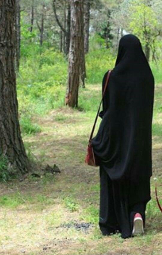 كـم مـرة كثـرت علينـا الصـواديـف
و لا اشـتكينـا الضـيـق و لا حـكينـا
عظامنا ما هي هشاش و غضاريف
لا قـالـت الــشـيمـه مشينـا مشينـا