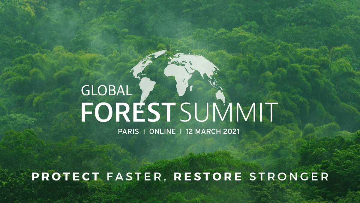 EU_ENV's tweet photo. #UnitedforBiodiversity 🌱🦜🌳

This Friday, join the Global Forest Summit #GFS2021, major event ahead of #CoP15 &amp; @COP26 

Among speakers: @UNDP, @UNEP, @IUCN, @WWF, @CIFOR, @IPCC_CH, @JaneGoodallInst, @VSinkevicius 

Register to follow, as of 8.30 am CET:
https://t.co/kBJv6ayF5q https://t.co/SNTYAGv2Yj
