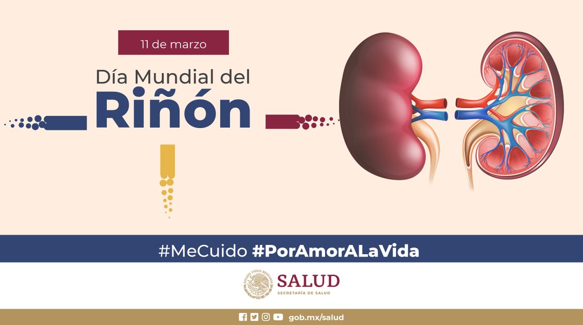 11 de marzo | Día Mundial del #Riñón

Cuida tu #SaludRenal.

Conoce más en ➡️ bit.ly/30ijR2Y

#MeCuido #PorAmorALaVida