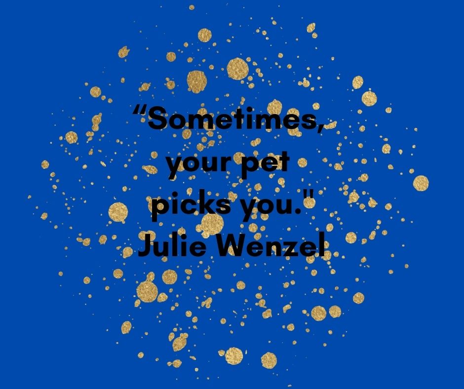 ReflectionCrea2's tweet image. 