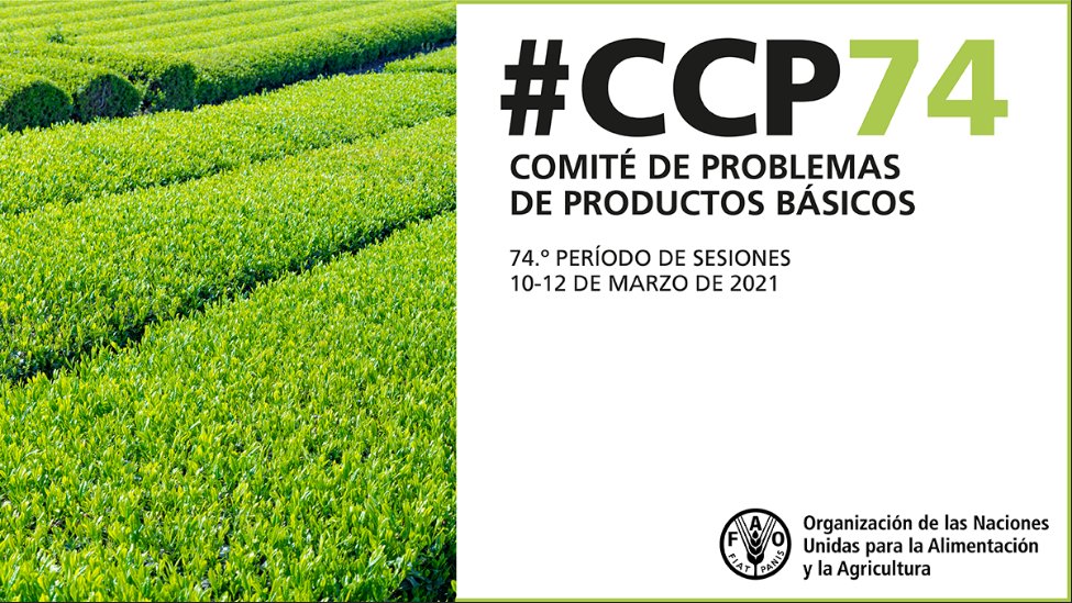 FAOenEspanol's tweet photo. El Comité de Problemas de Productos Básicos de la FAO…

🔹realiza un seguimiento de los mercados de productos agrícolas
🔹debate sobre sus efectos en la seguridad alimentaria
🔹 formula recomendaciones normativas
🔹 y mucho más 

👉 https://t.co/kk7sF2B5UN

#CCP74 https://t.co/ywkzgfbswU