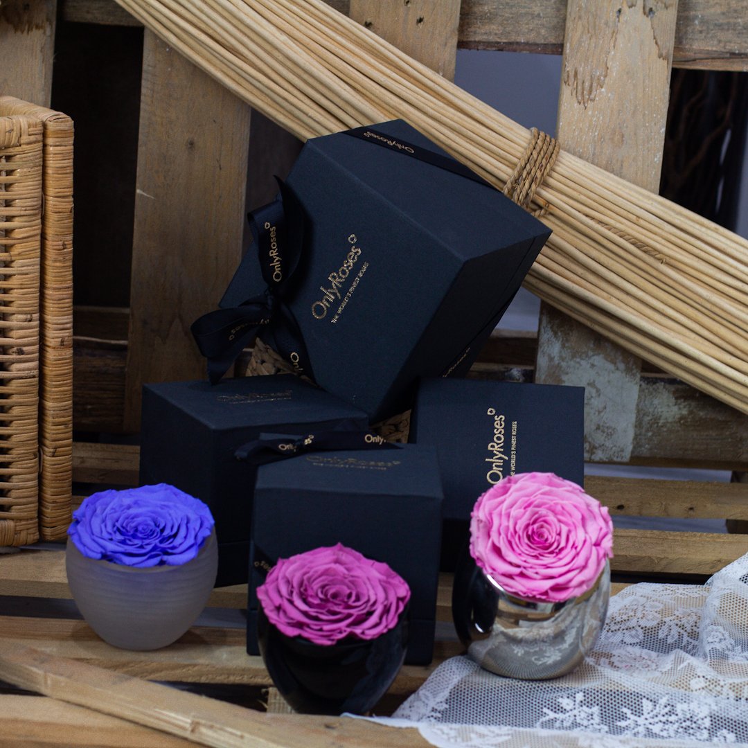 OnlyRoses tweet media