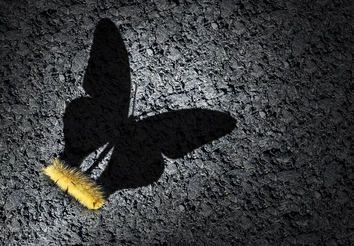VeronicAzSun's tweet photo. As we walk our path toward self-actualization, especially when we aren't at our best, unintentionally hurt people we ❤ & care for
A price that gives me pause & makes we wonder
A reality that it's hard to ignore & accept
But even more difficult to forgive myself for
⚘
#GooglePic https://t.co/Kf5O3JV9wX