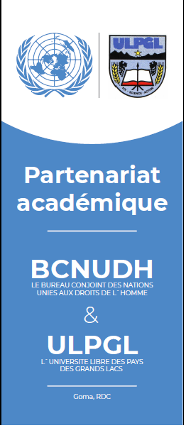 UN Human Rights DRC tweet media