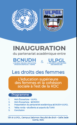 UN Human Rights DRC tweet media