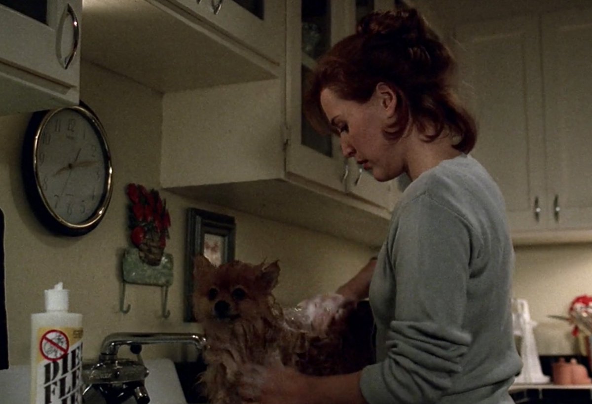 so true scully you shampoo your puppy with that cute little ponytail