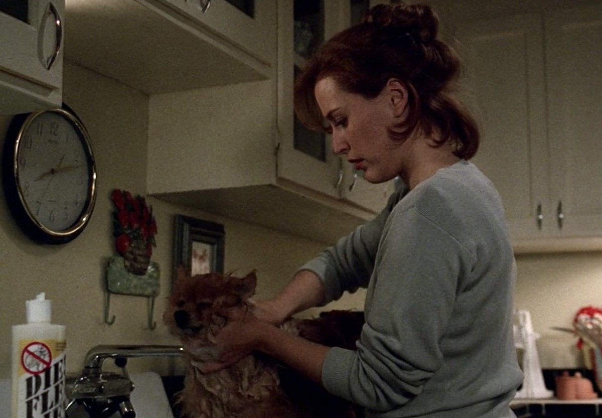 so true scully you shampoo your puppy with that cute little ponytail