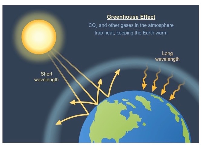 RoversLand's tweet photo. So you’ve probably been hearing a lot about the greenhouse effect. But what exactly is it? 

Well because we’re a group of APES students, let’s get sciencey! So there’s two types of radiation that you should know about. Shortwave and longwave radiation. 

1/ https://t.co/F9gyZJ2rMJ