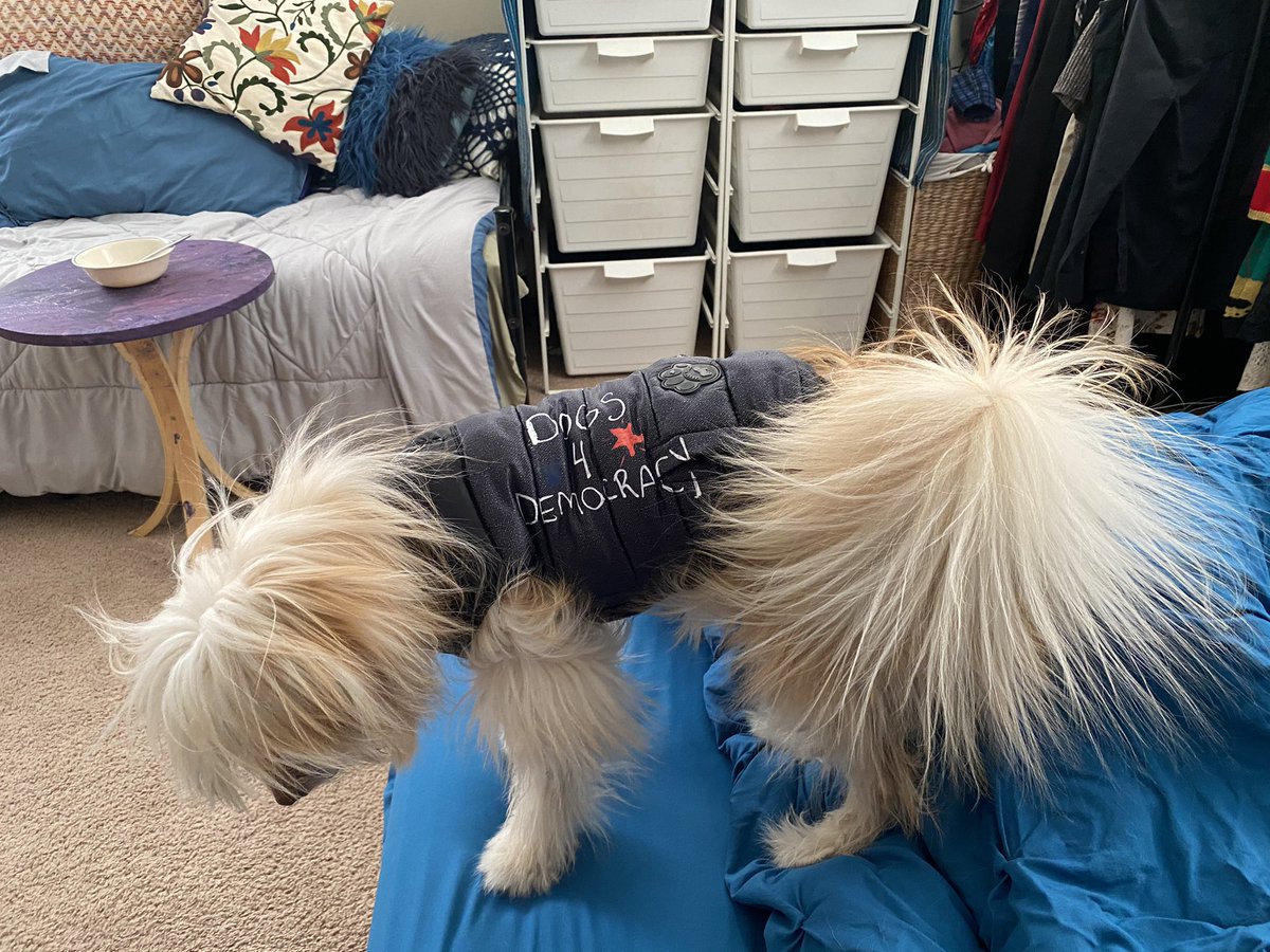 MeierPernell's tweet photo. #DogsAgainstJimJordan https://t.co/7M8cErFY7q