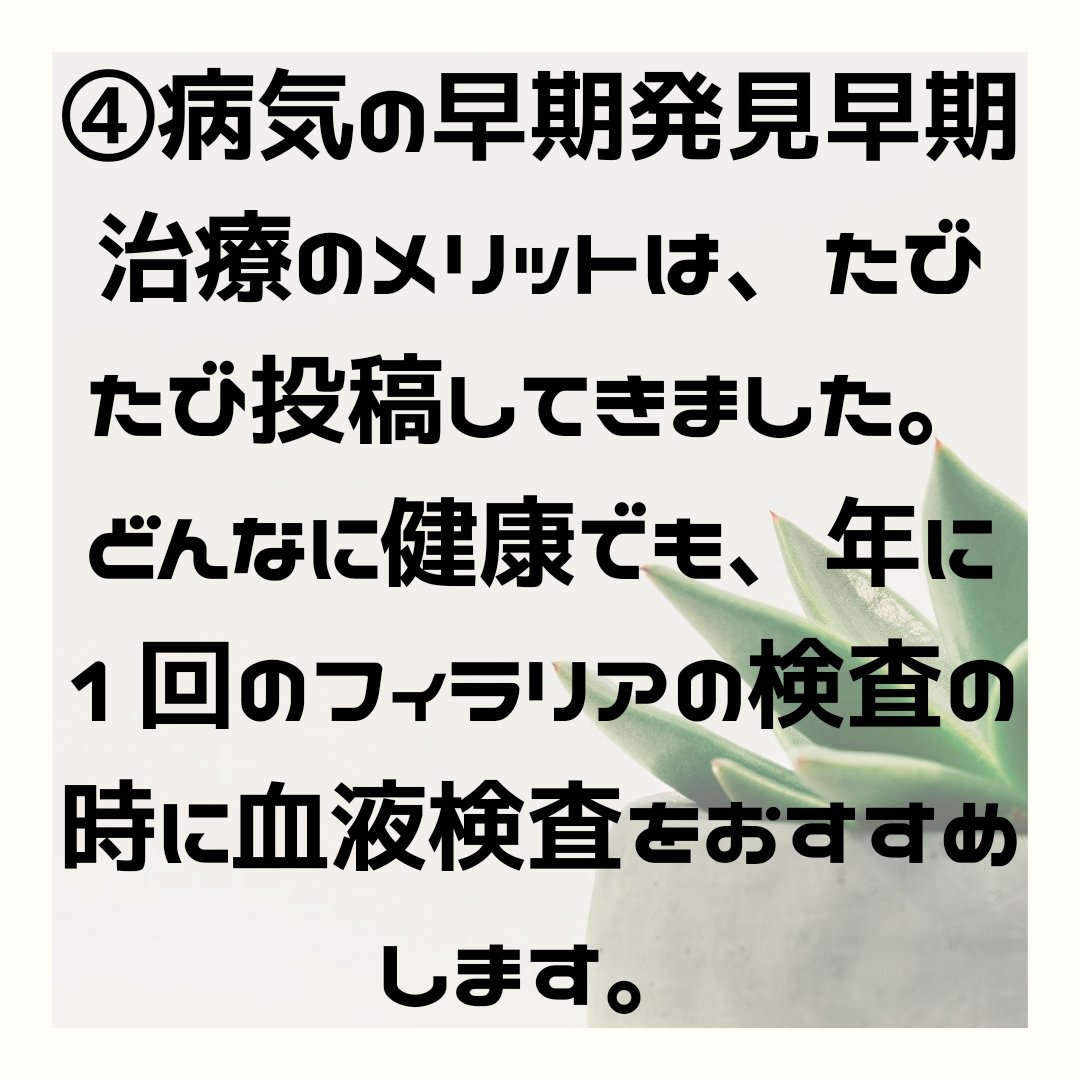 Dog and Cat Homemade / 犬猫の手作り食レシピ🐾🐈 on Twitter 