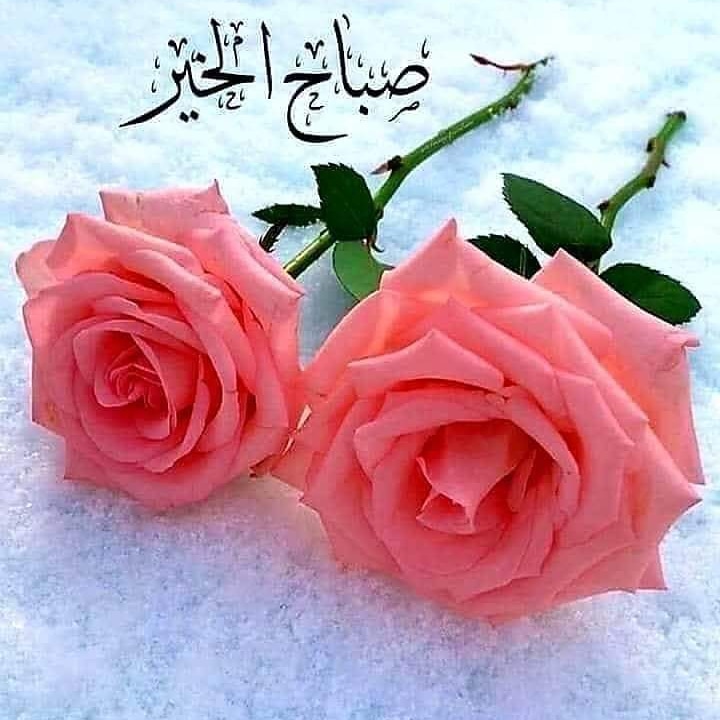 اللهُم أجعل صباحنا يحمل بشائر خيرك،
وأجعل لنا مع نسمات هذا الصباح رزقاً
 وفرحاً وعافيه🌿