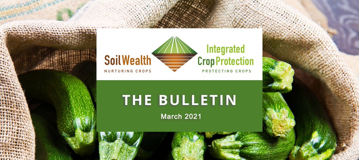The March 2021 Bulletin e-news is here! This edition: share your feedback on soil microbiology testing &amp; the Biological Products Database, fall armyworm &amp; serpentine leafminer resources, upcoming workshops in SA &amp; WA, oxalis fact sheet + more: mailchi.mp/3abad65fbab0/t… <a href="/SoilWealth/">SoilWealth</a>