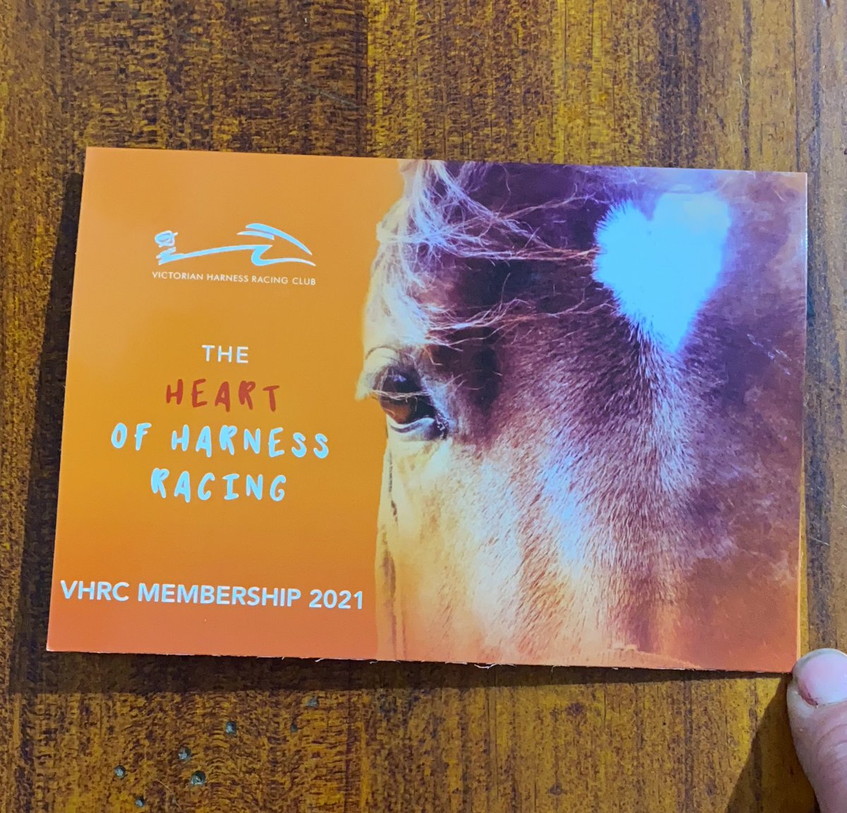 smartremark24's tweet photo. This has just arrived 🐴 🙌 #VHRC https://t.co/QZj4vb7BIc