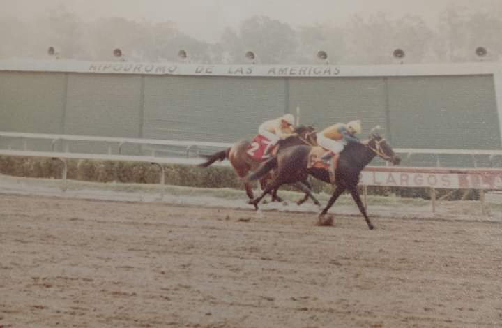 HORSERACING1002's tweet photo. ULIL (MEX) 1979
(TUDOR SOVEREIGN - GRANNY NOOP BY MANTUP) #Ulil https://t.co/SRLpkIZOB0