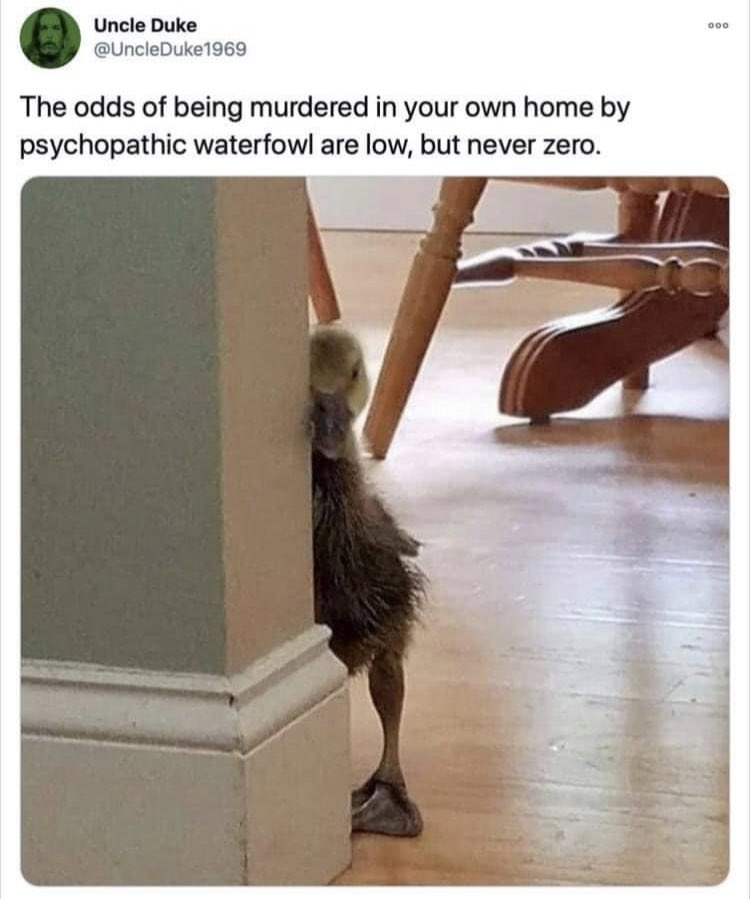 Pixie🎙 tweet media