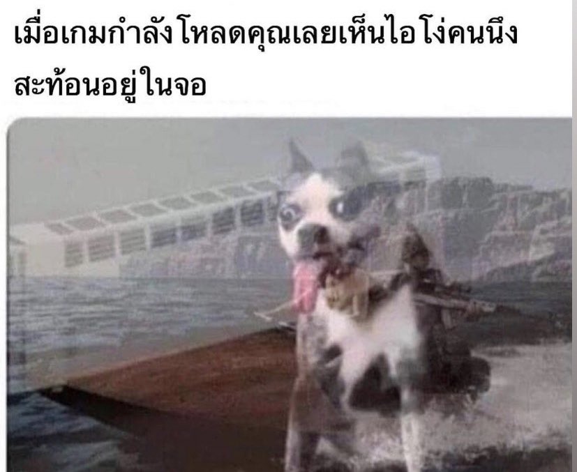 จีเม tweet media