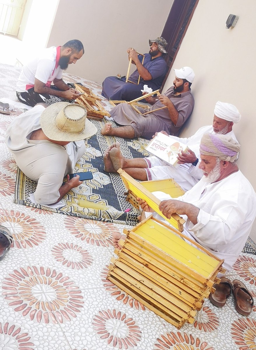 #الرستاق 
#وادي_بني_غافر 
#بلدة_سيع 
جانب من الإستعدادات قبيل بداية الموسم.
#موسم_البرم 
تتوارث هذه المهنة جيل بعد جيل لما لها من مردود مادي.
يُعد العسل في الجبال من الأجود والأنقى في العالم.