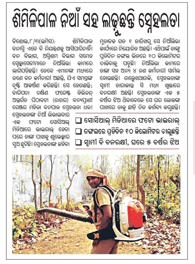 OdishaSeaTurtle's tweet photo. #ଶିମିଳିପାଳ ରେ ବର୍ଷା ହେବା ପରେ ଖୁସିରେ ନାଚି ଉଠିଲେ ମହିଳା ଫରେଷ୍ଟର #ସ୍ନେହା_ଧଳ
#PrayForSimilipal🙏
@CMO_Odisha @sandeepifs @SecyChief @sanurath @Similipal_North @seesantu @Amar4Odisha @pranabpdas @DM_Mayurbhanj @spmayurbhanj @DGPOdisha @ForestDeptt @PCCFWL_Odisha @BJDITWing https://t.co/L4EnVCTtjY