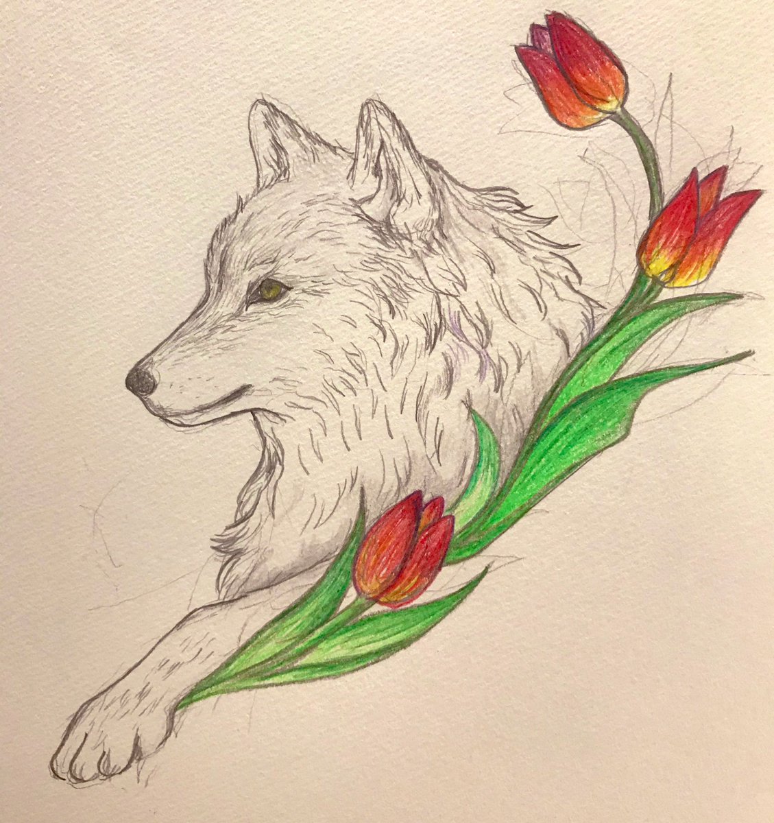 Hm Mana على تويتر 花とオオカミ オオカミ 狼 イラスト 花 Art 鉛筆画 Hm Mana على تويتر 花とオオカミ オオカミ 狼 イラスト 花 Art 鉛筆画