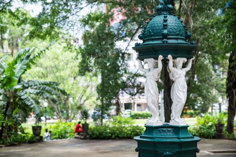 This evening's site is the Tunduru Botanical Gardens in Maputo, Mozambique which were designed in 1885. There's a green house and also tennis courts which are owned by the Mozambique Tennis Federation.