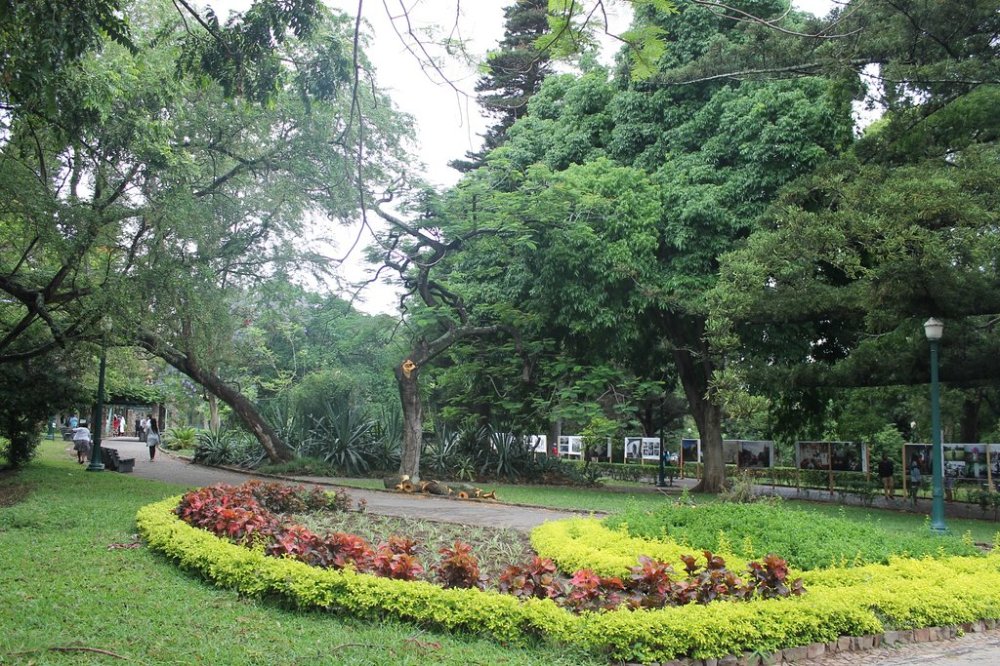 This evening's site is the Tunduru Botanical Gardens in Maputo, Mozambique which were designed in 1885. There's a green house and also tennis courts which are owned by the Mozambique Tennis Federation.