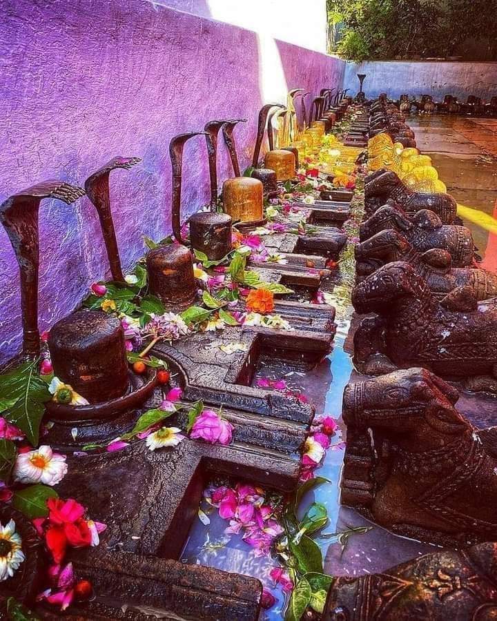 singh19695's tweet photo. #महाशिवरात्रि
ॐ महापर्व शिवरात्रि की हार्दिक बधाई एवं शुभकामनाएं ! महादेव आपकी सभी मनोकामनाएं पूर्ण करें हम सबकी रक्षा करें।
🌸🌺🌸🌺#mahashivratri https://t.co/Vg08RMYxWA